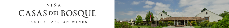 Banner publicitario CA4x4